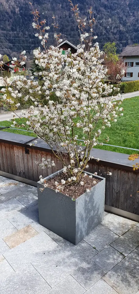 Pflanzbox