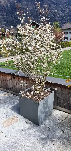 Pflanzbox
